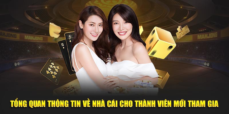 Tong quan thong tin ve nha cai cho thanh vien moi tham gia